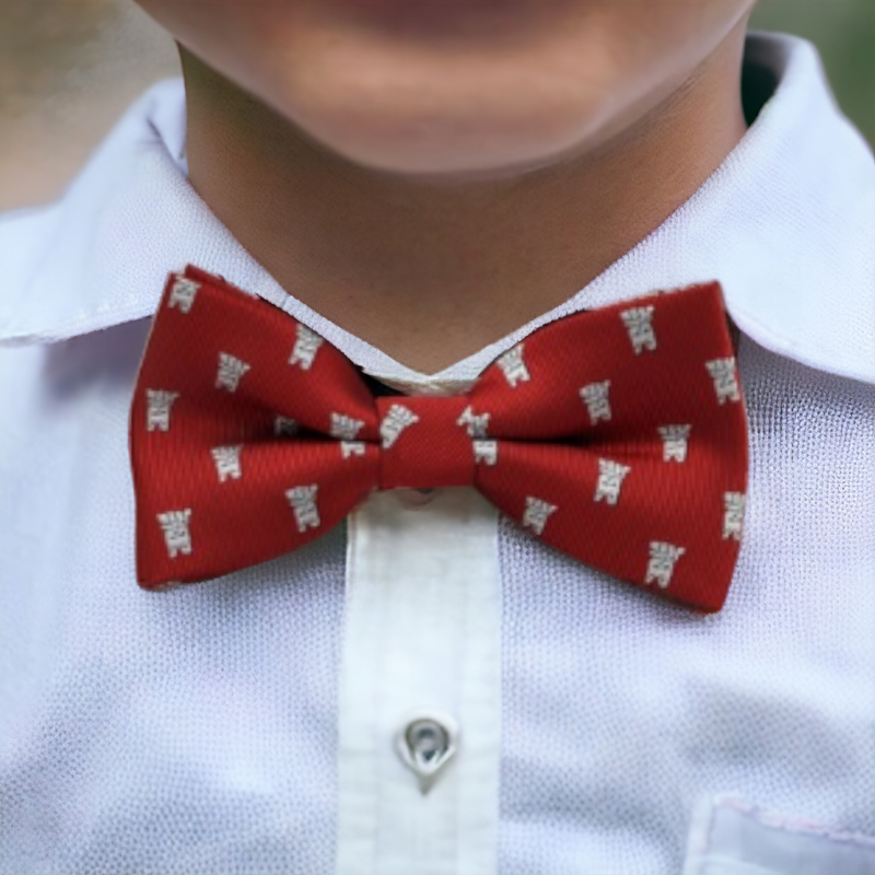 Noeud pap pour enfant assorti aux parents, rouge avec motif