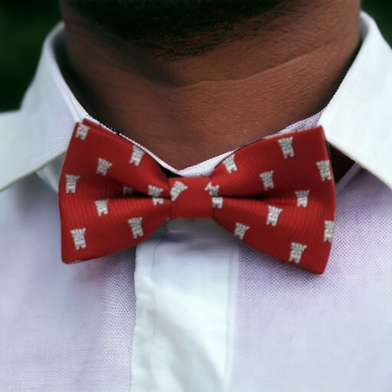 Noeud papillon assorti père et fils rouge motif