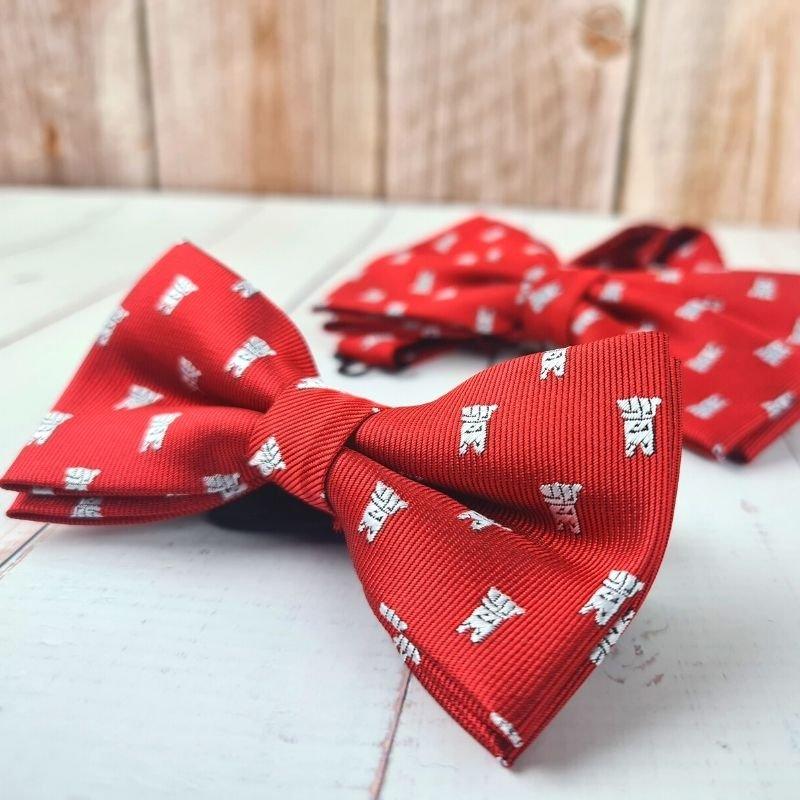 Nœud papillon rouge assorti motif blanc en satin de polyester - Kompapou